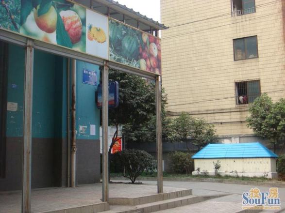 光辉岁月实景图