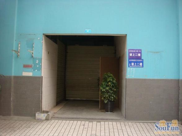 光辉岁月实景图