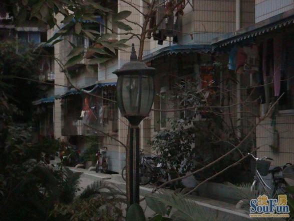 华民逸园实景图