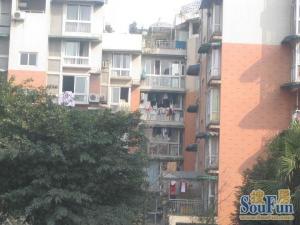 香都美地 2室1厅 东南