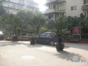 怡泽苑 2室1厅 东南