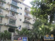 怡泽苑 3室1厅 西北