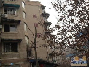 平安正街47号3室1厅东南