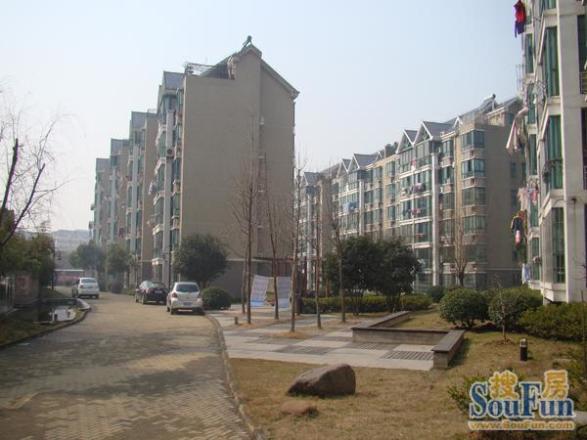 星河翠庭实景图