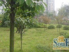 城南区政府旁,近轻轨,精装两房,业主诚心出售