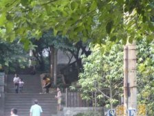 南坪 花园六村二房50万