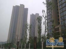 华润二十四城二期 2室1厅 东南 南