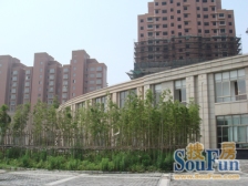 出门公园,电梯洋房,三房两卫,采光视野超赞,生活便利.