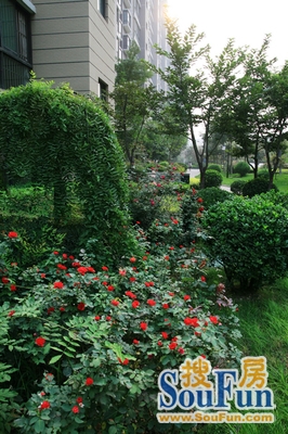 国际幸福城实景图
