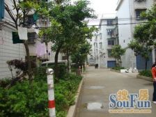 万家丽正地铁口精装一室一厅繁华地段