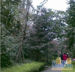 西安中路一巷35号 3室1厅 南