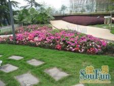 汽博中心 奥林匹克花园十期(御锦一期)五房268万