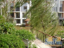 明月山溪环境优美,空气清新适宜居住。