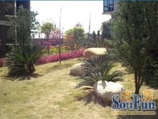 中凯蓝域精装两房高楼层全天太阳,读艾溪湖三中