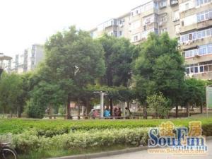 文教路124号二建宿舍 南北通透,采光好 装修好,环镜优美 近地铁 周边匹套完善,,出行方便