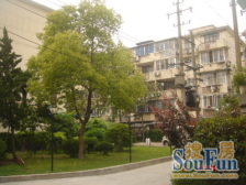 中楼层,南北通透,近DT