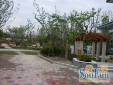 买的保留毛坯房,用金子打造的装修