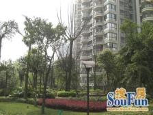 铜元局 融侨风临洲A区二房