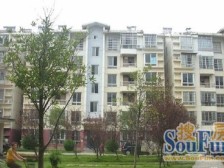 京东小区B区(蓝天公寓) 南北通透,采光好 近地铁 周边匹套完善,,出行方便