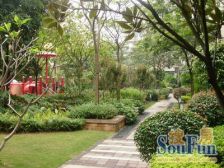 从化康养小镇,三面环山,南临流溪河