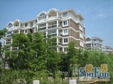 单价2,5万 顶楼复式 4房 满五 诚意出售 看房随时