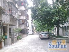 新华路 3室1厅 南 北