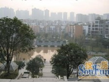 龙头寺 鲁能星城十街区三房137万