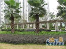 成熟区域,出行方便,装修较新,看房有钥匙,价格可谈