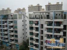 大利嘉城D区 1室1厅 西