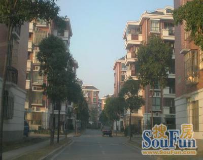  ���⡤���򡤽��ƹ�Ԣ��2�� 