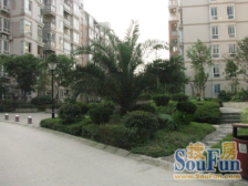 盛世桃源大4房拎包入住,业主大哥耿直人,好沟通.