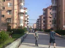 七宝核心小区,地铁零距离,小区C位,精装全明两房!