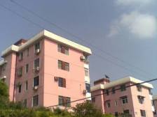 观澜 五三 两房朝南 全明户型 满5年 ONLY ONE