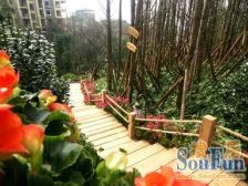 采光很好户型方正,小区环境绿化很好晚上无噪音