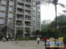 石桥铺 岭秀枫景一房38万