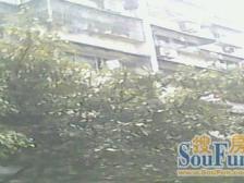 黄角桠 龙井佳苑小区二期二房31万