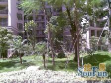 怡翠玫瑰园 5室1厅 南