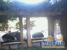 松花江路223弄小区1室西朝向220.00万元/套出售