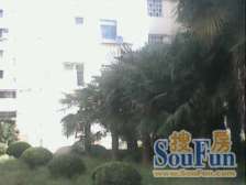 松花江路223弄小区1室西朝向220.00万元/套出售