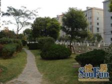 房东诚心卖,电梯两房,总价低,采光好,