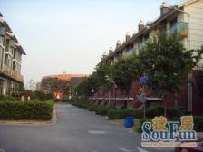 庭院幽静、雅致,一草一木间都藏着禅意的奥秘与故事