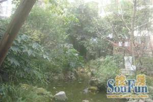 新南街250号3室2厅东南