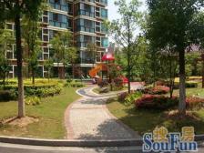 房子位置好,采光好,通风好,诚心出售