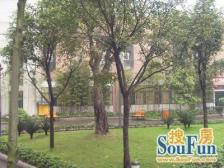 南坪东路1巷 2室1厅 东