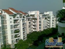 店长推荐:碧桂花城 近地铁2号线 ,环境好,等您来!