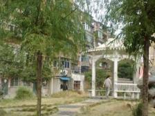 .观望是没有结果的,该出手时就出手 这才是硬道理