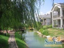 花草为邻,诗意栖居,带小院洋房,开启浪漫慢生活~