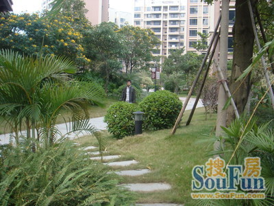 西堤国际花园实景图
