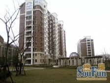 出淤泥而不染,濯清涟而不妖