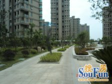 楼层好,视野佳,税费少,精装修!